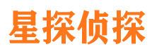 西峡市私家侦探